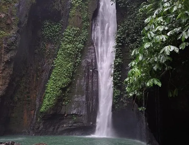 ゲストハウス Nyoman Sekumpul House