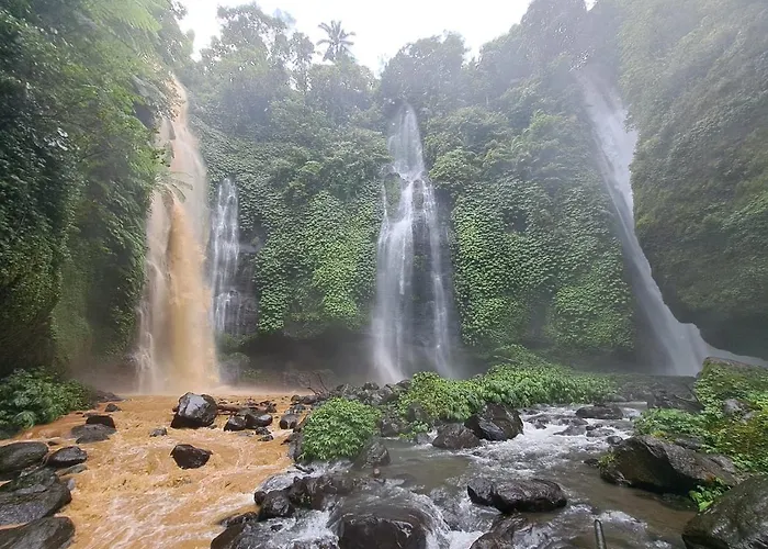 Nyoman Sekumpul House ゲストハウス