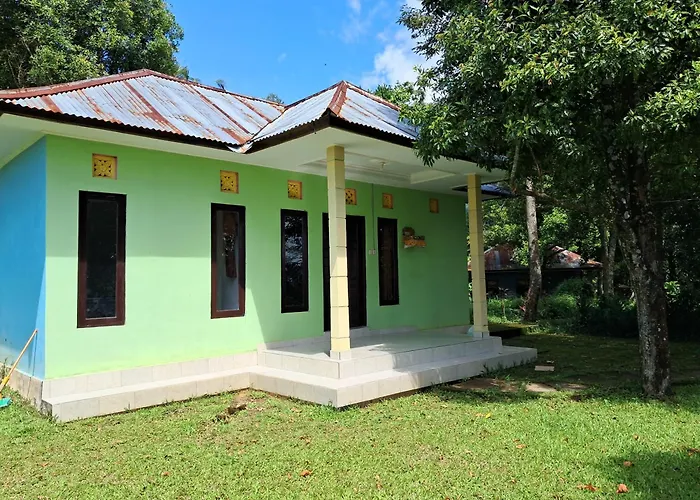 ゲストハウス Nyoman Sekumpul House
