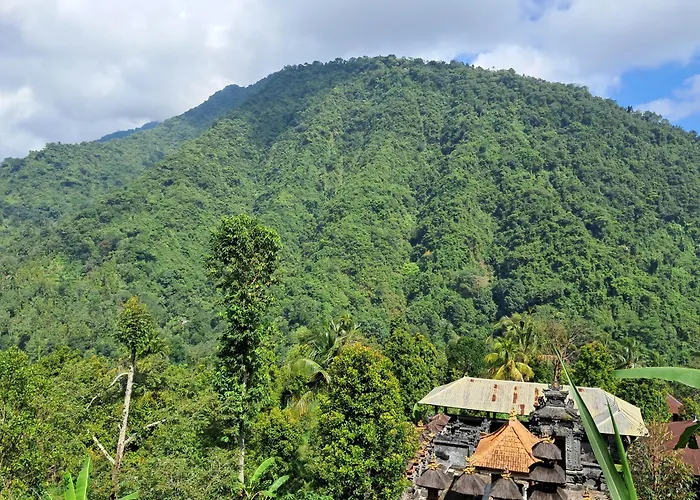 Nyoman Sekumpul House ゲストハウス